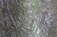 Bushley fibreglass roof work