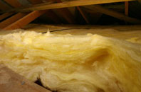 Bushley pitch roof insulation